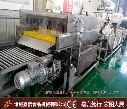 白菜氣泡清洗加工機(jī)一站式服務(wù)專業(yè)團(tuán)隊在線服務(wù)