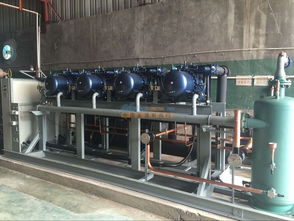 甘肅銷量領(lǐng)先的冷庫技術(shù)與張掖冷庫機(jī)械設(shè)備安裝銷售指南